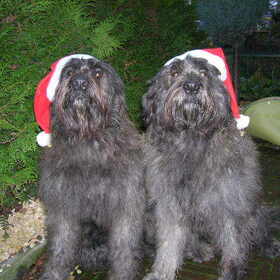 Bart en Lex Lex rechts op de foto is van ons Bart links op de…