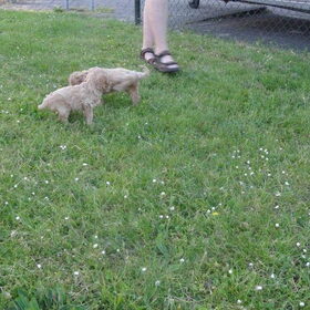 Buiten spelen