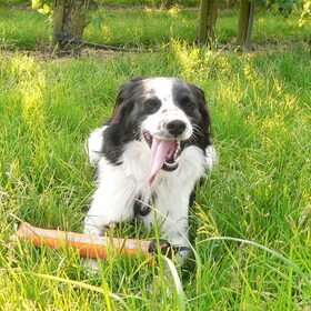 Bruno, 19-05-2014