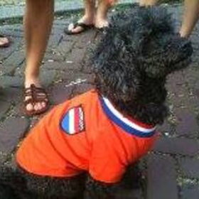 Ik ben er weer helemaal klaar voor! Het WK 2014!