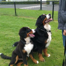 Noa met junior