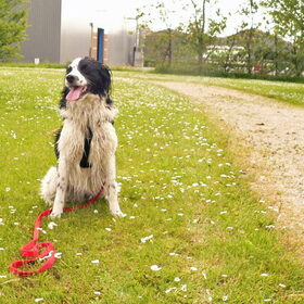 Bruno, 20-05-2014