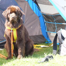 Weekend naar Uitdam met TNS ik en nanook gezelli in tent ( je )