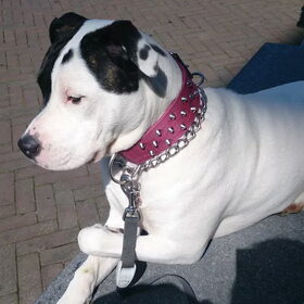 Angel 7,5 maand hier