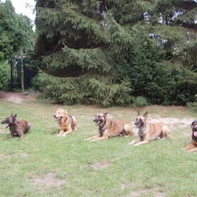 Deze foto is gemaakt op 17 augustus 2008 gemaakt, toen Doran…