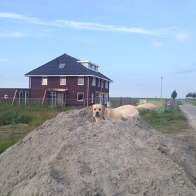 Hondenfoto van ..Nadine&Denzel..