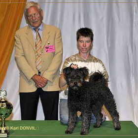 25 juli 2009, Best in Show puppie, te Luik Belgie