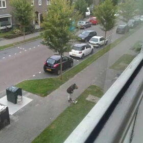 Foto genomen vanaf ons appartement.
