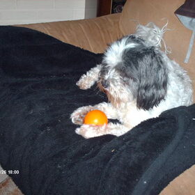 Turbo met de stressbal. dat is echt een uitvinding hoor…