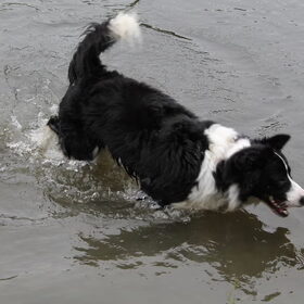 Lekker Pootje baden