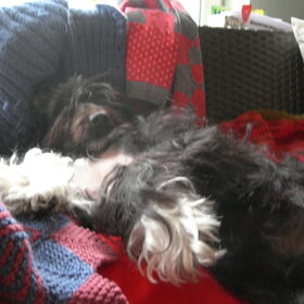 Ons luierdje slaapt...