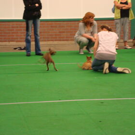 kleine Mellow op school :)