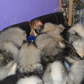 puppy visite wil snoepjes uitdelen hahaha