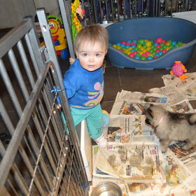 kleindochter wil met de pups spelen