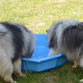 pootje baden