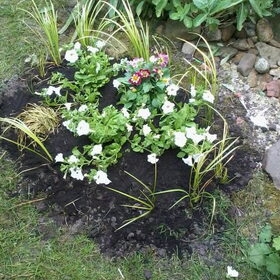 Laatste rustplaats