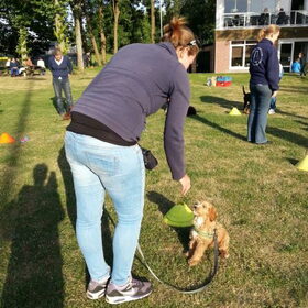 Puppycursus