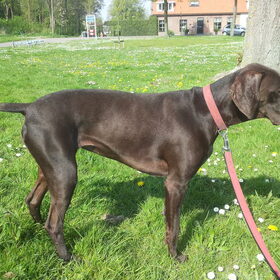 Liza 2 jaar