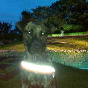 ons foto model!