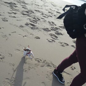 Gek doen op het strand