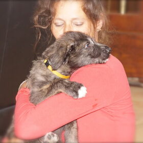 Hondenfoto van Jeanine :)