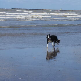 Tessa op haar geliefde strand