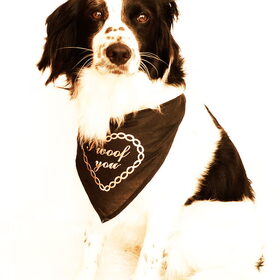 Bruno, 15-07-2014
