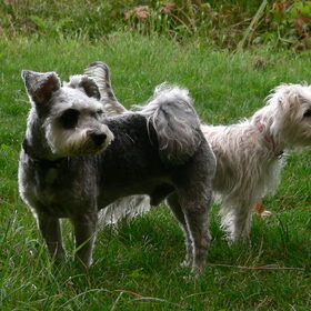 Lukie & Macy