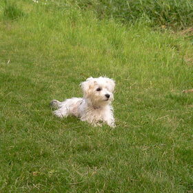 Macy!