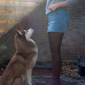 Hondenfoto van Joyce van Suka en Aiko