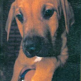 Ten's eerste pasfoto!...scan dus mindere kwaliteit...