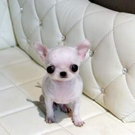zoooooo eeeeeen schat!!!!!!!!!!!!!!!!!!!!!!!!!!!!!!!!!!!!!!!!!!!!…