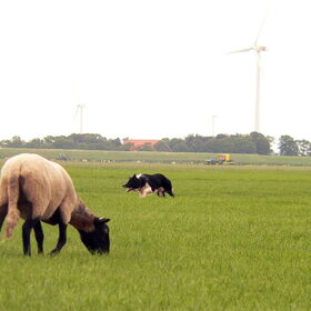 Skeip, 20-07-2014
