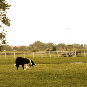 Skeip, 20-07-2014