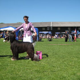 International Show Donaueschingen 2009 1e plaats, Way Up Mr…