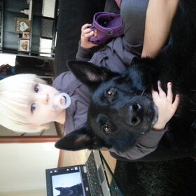 Hondenfoto van Linda; Roxy & Buddy