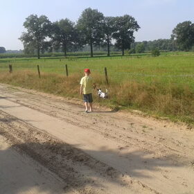 Hondenfoto van Liesbeth... Jack - Max † - Blixem