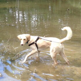 Waterrrrr!