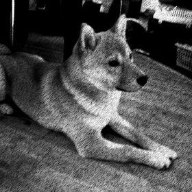 mooie liefe Aiko