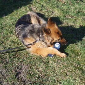 Hertha is met het flesje aan het spelen.