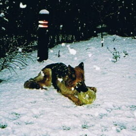 Hertha in de sneeuw.