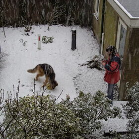 Hertha in de verse sneeuw.