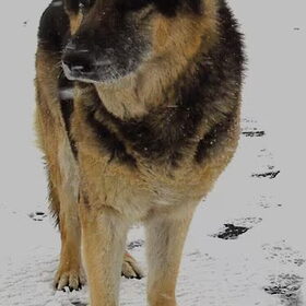 Kazan in de sneeuw.