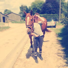 Hondenfoto van Cassy met Pepsi, Shana en Mandy