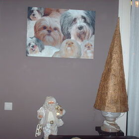Hondenfoto van liesbeth,Turbo,Luna, Levi en Faith