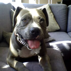 M'n Diesel 3 jaar oud.