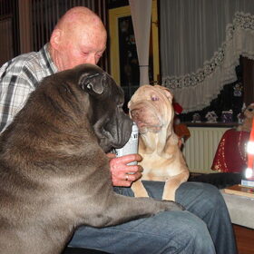 En dit is mijn partner met onze kanjers