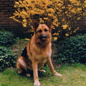 Caya, in de achtertuin.