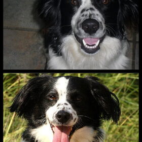 Bruno, ik zag eerst nooit aan hem dat hij nu echt een man is ;P…