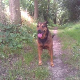 Lieve mooie Kylie... nog heel even 11